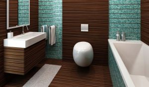 What are the different type of sanitary?