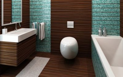 What are the different type of sanitary?