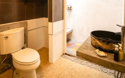 5 Tips to Choose the Best Sanitary Ware For Your Home
