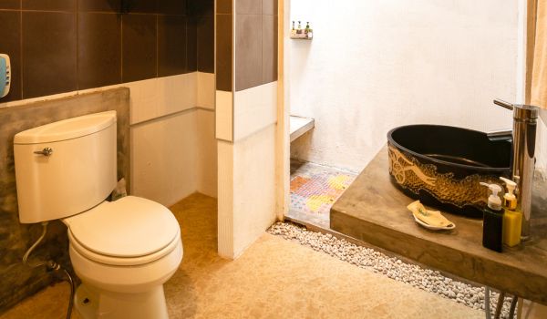 5 Tips to Choose the Best Sanitary Ware For Your Home