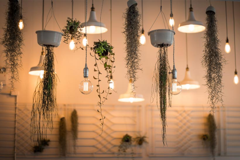 Illuminate Your Outdoors: Exploring the Best Outdoor Wall Lights