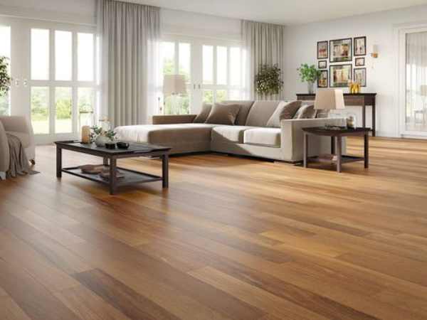 Pros and Cons of each option