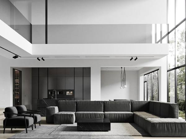 19 Modern and Luxury Black and White Living Room Ideas